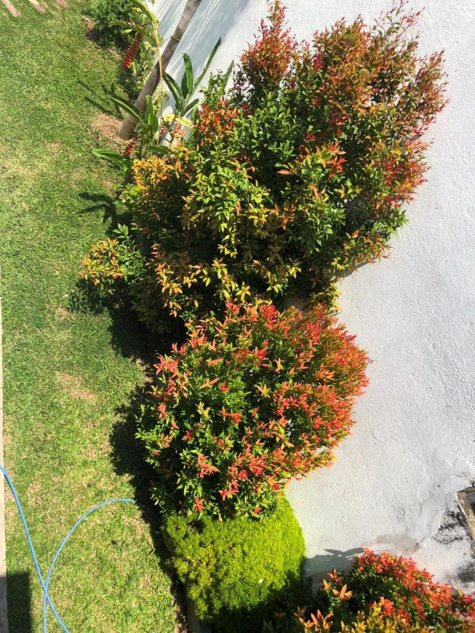 Minuwangoda Vidushi Home מראה חיצוני תמונה